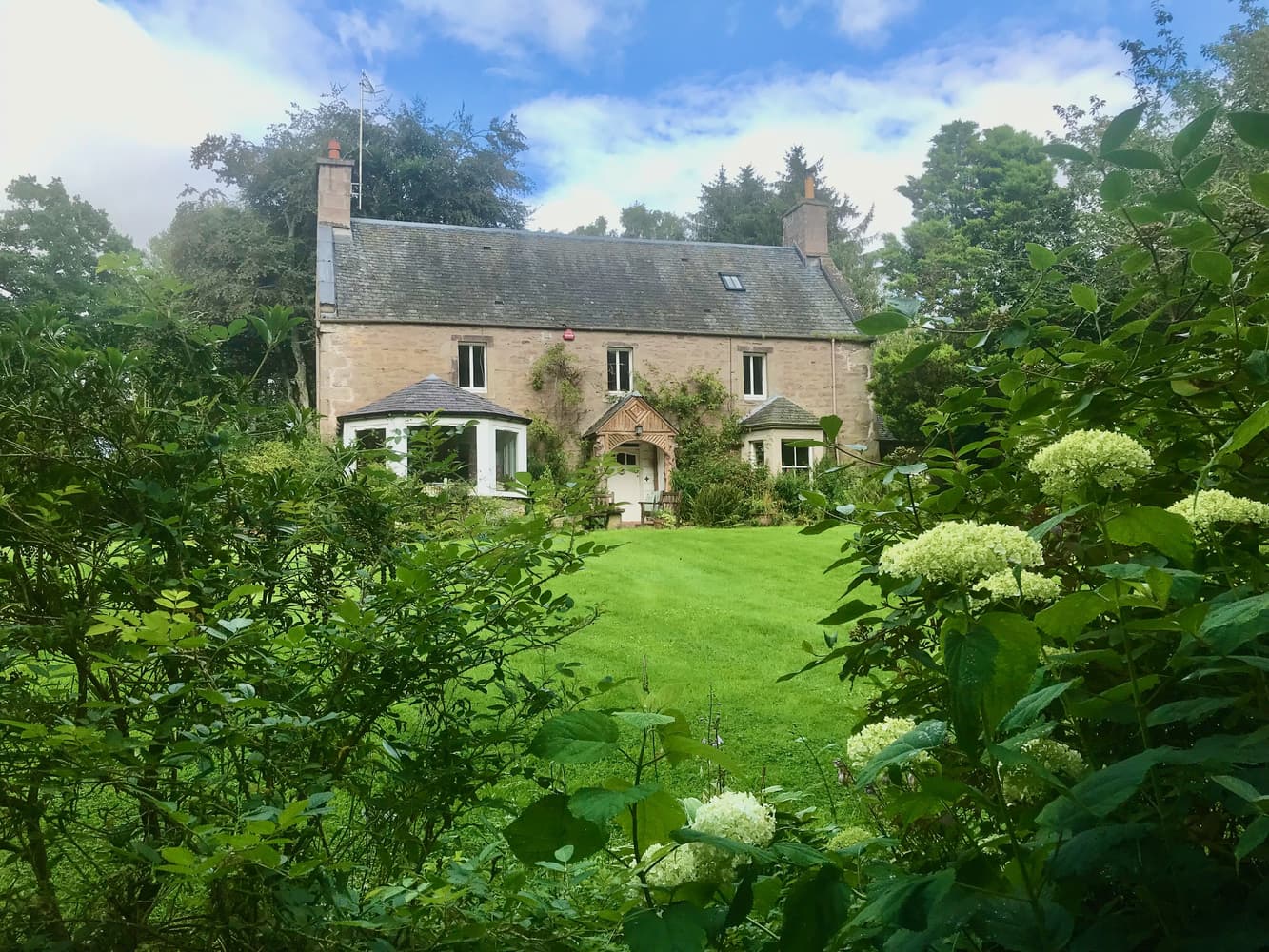 Organic Welltree, Kirklands, Perth and Kinross, Perth And Kinross, PH2 6AL